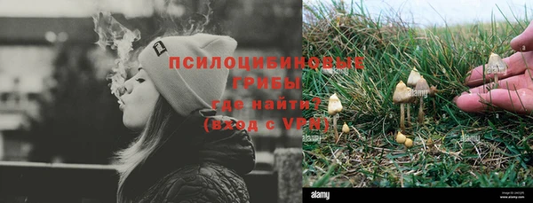 гидропоника Белокуриха