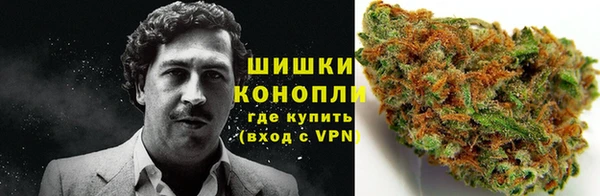 трава Беломорск